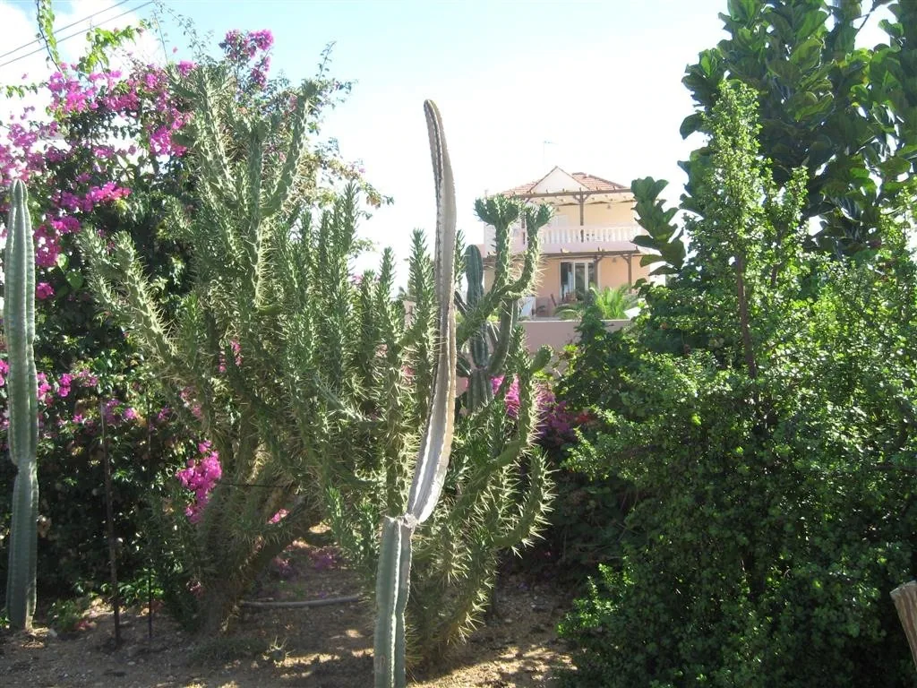 Sisi crete 177
